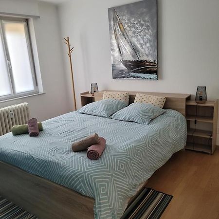 Les Jacynthes Appartement Colmar Buitenkant foto